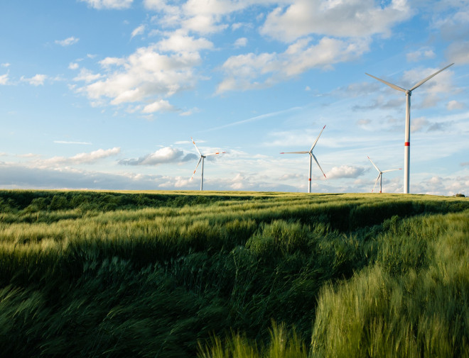 grassy field with windmills